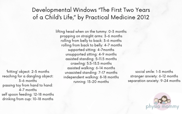 Developmental Windows - Physiomommy